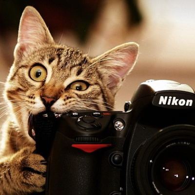 День фотографа, первая фотография, первый фотоаппарат, лучшие фотографы.
