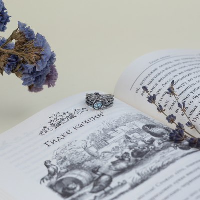 Дополнительные фото товара Майбутній лебідь