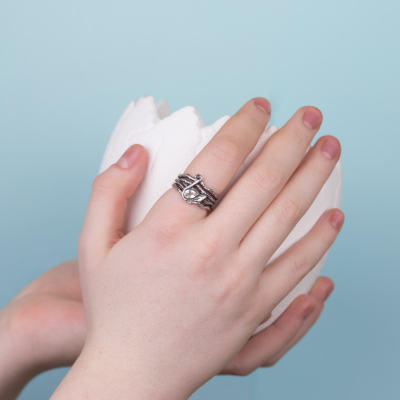 Дополнительные фото товара Майбутній лебідь