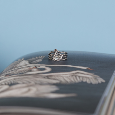 Дополнительные фото товара Майбутній лебідь